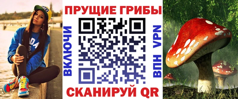 Купить где  Верхний Уфалей  Галлюциногенные грибы Cubensis 